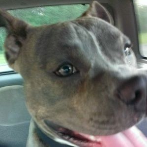 Meet your Posher, Jarrett